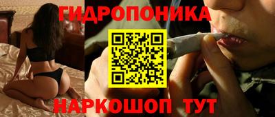 мдма Кингисепп