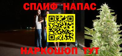 PSILOCYBIN Кинель